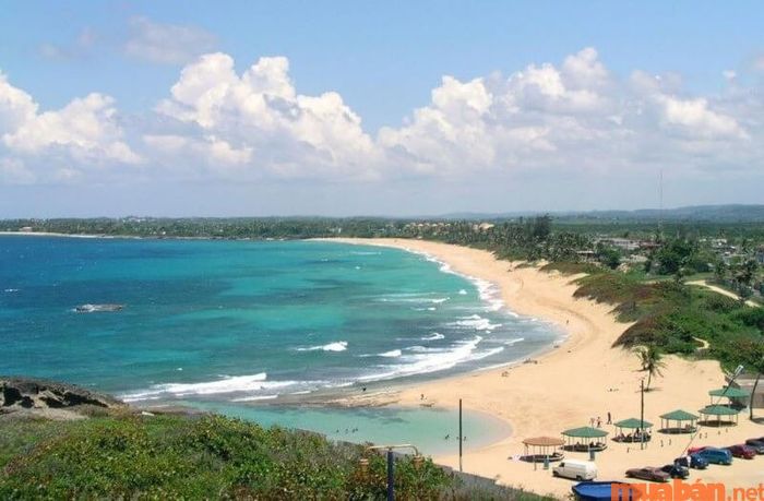 Trong số các bãi biển đẹp ở miền Bắc, Trà Cổ luôn mang đến một vẻ đẹp độc đáo.