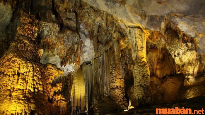 Khám phá Ngũ Động bản Ôn