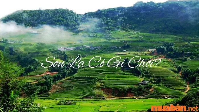 Khám phá Sơn La có gì chơi?