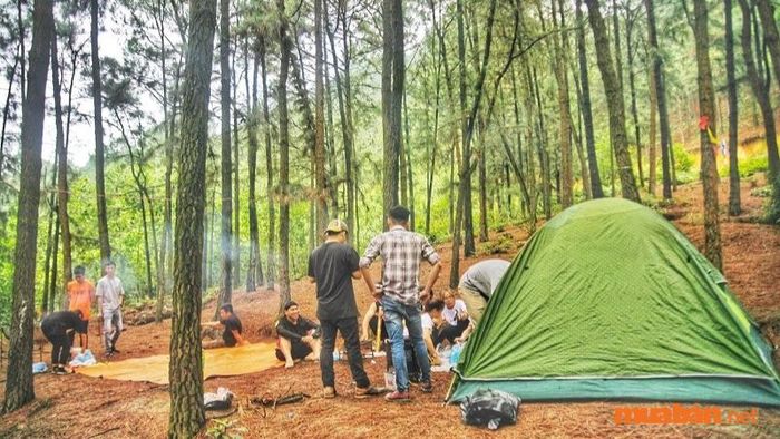 Một chuyến dã ngoại xa giúp bạn thư giãn và tái tạo năng lượng sau những ngày làm việc bận rộn.