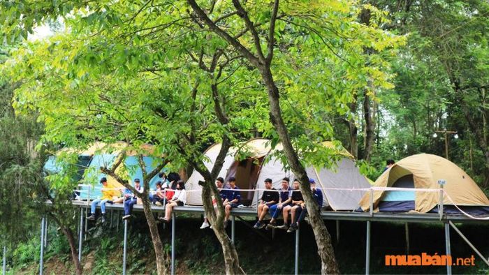 Khu cắm trại Sơn Tinh Camp 3 mang đến trải nghiệm mới lạ với các dịch vụ đa dạng, chắc chắn sẽ là điểm đến hấp dẫn khiến nhiều du khách hài lòng.