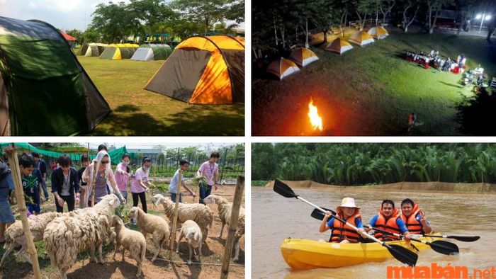 Trải nghiệm Glamping tại Làng Du Lịch BCR