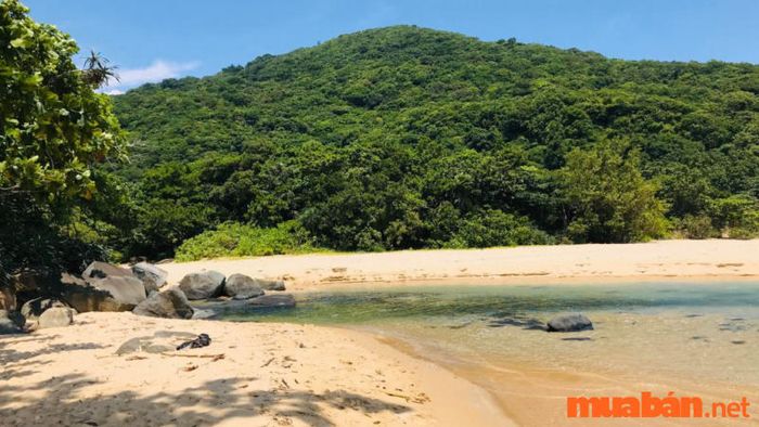 Bãi suối nóng ở Côn Đảo - nơi nổi tiếng với vẻ đẹp hoang sơ của một bãi biển