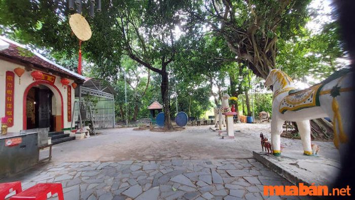Côn Đảo có gì chơi? Miếu Cậu