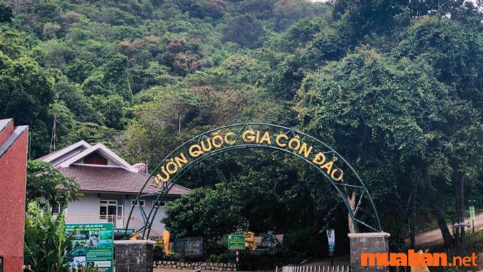 Côn Đảo có gì chơi? Vườn Quốc gia Côn Đảo