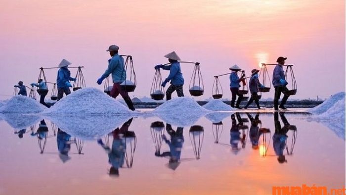 Cánh đồng muối - Điểm đến du lịch Bạc Liêu