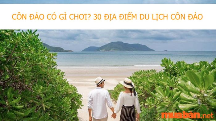 Có gì thú vị ở Côn Đảo? Khám phá 30 điểm đến du lịch có thể bạn chưa biết