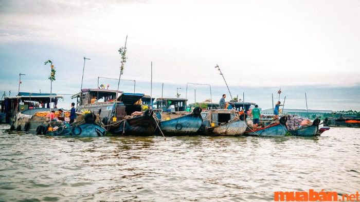 An Giang có gì thú vị? Chợ nổi Long Xuyên