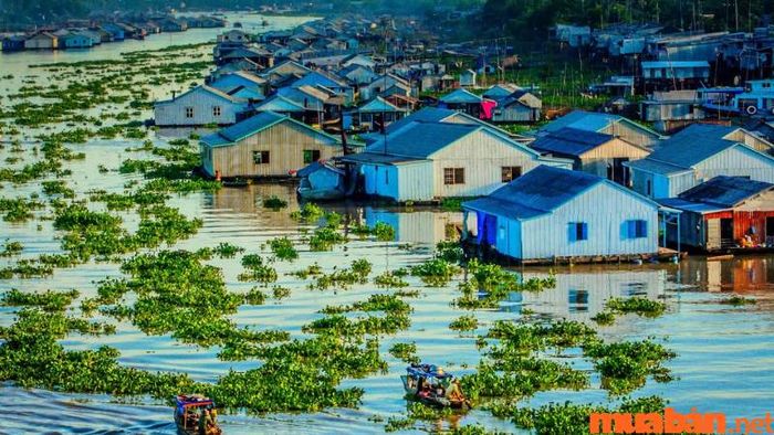 An Giang có gì thú vị? Làng nổi cá bè