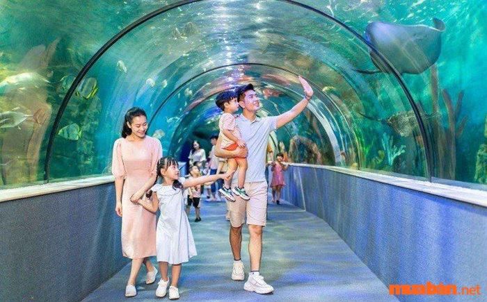 Những hoạt động thú vị tại Times City