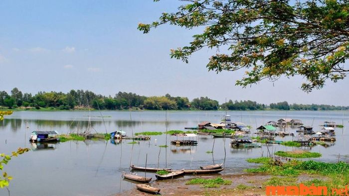 An Giang có gì thú vị? Búng Bình Thiên