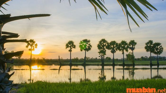 An Giang có gì thú vị? Thời điểm nào nên đến An Giang?