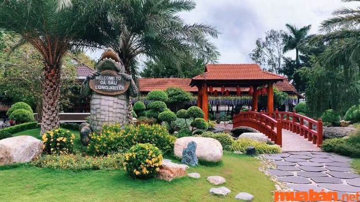 An Giang có gì chơi? Trại cá sấu Long Xuyên