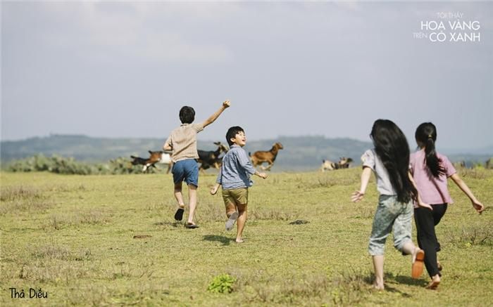 Cảnh Thiều và Tường thả diều trên cánh đồng lúa chín vàng đã trở thành một hình ảnh kinh điển.