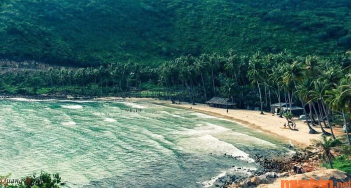 Lộ trình giúp bạn dễ dàng di chuyển đến Bãi Cây Mến