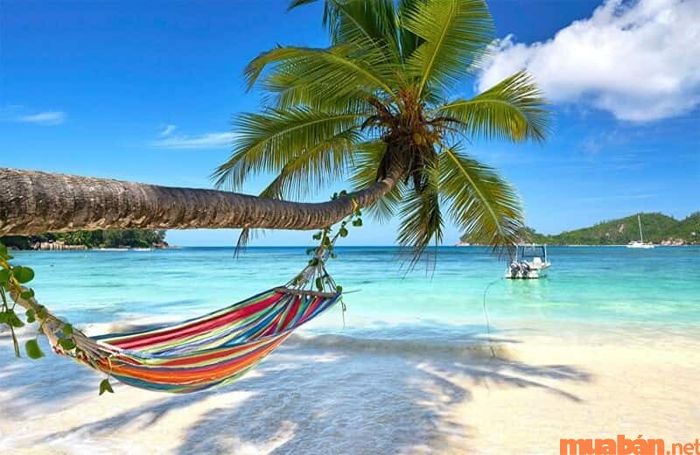 Thời điểm lý tưởng để ghé thăm Bãi Cây Mến là vào mùa xuân