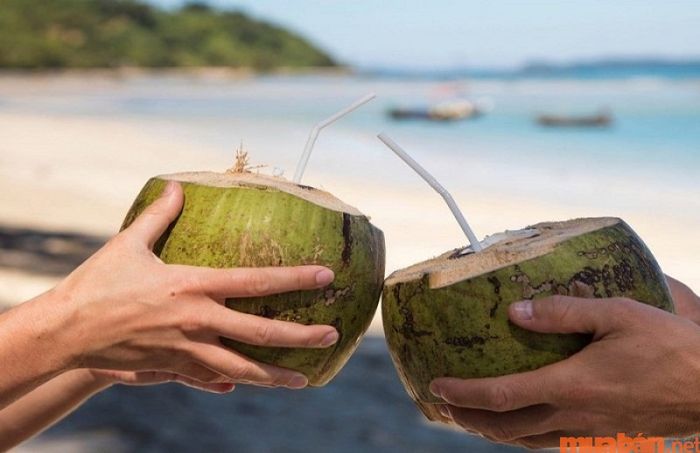 Thưởng thức dừa tươi – đặc sản của vùng Nam Du