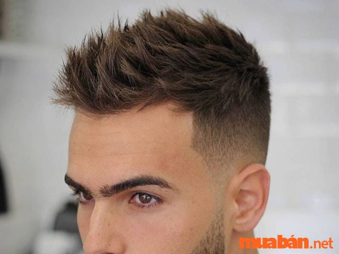 Kiểu short quiff sport.