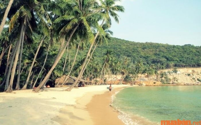 Bãi biển mang vẻ đẹp bình yên, giản dị và tràn đầy chất thơ