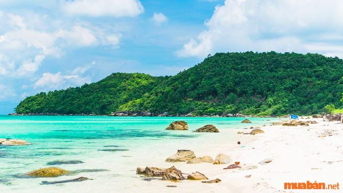 Mê mẩn trước vẻ đẹp tự nhiên của bãi biển