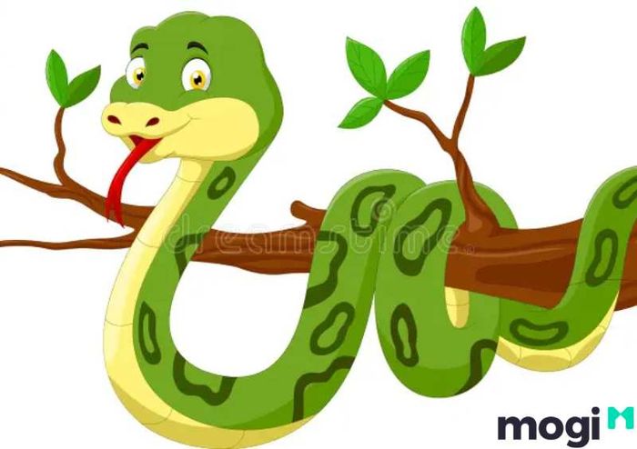 Tuổi Tỵ hợp hướng nào?  Theo phong thủy, năm tốt nhất để xây nhà cho người tuổi Tỵ là năm Mậu Ngọ (2026) hoặc Kỷ Mùi (2019).