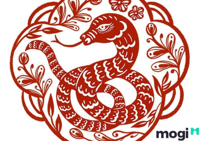 Hướng nào là phù hợp với tuổi Tỵ? Hướng xấu là hướng mang đến luồng khí không tốt cho ngôi nhà của bạn.