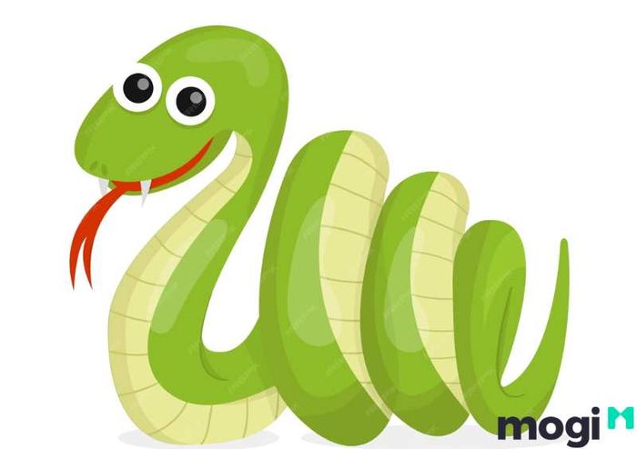 Tuổi Tỵ hợp hướng nào?  Tuổi Kỷ Tỵ hợp hướng nào? Hay Tuổi Kỷ Tỵ hợp hướng nhà nào?