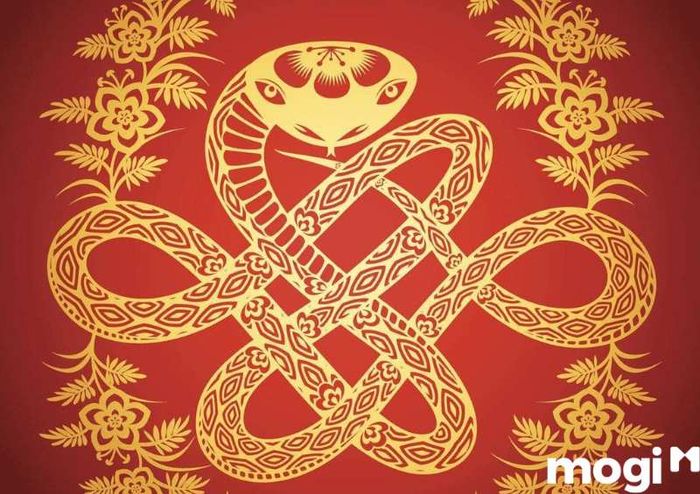 Hướng nào là phù hợp với tuổi Tỵ? Hướng tốt là hướng mang lại nhiều vượng khí cho ngôi nhà của gia chủ.