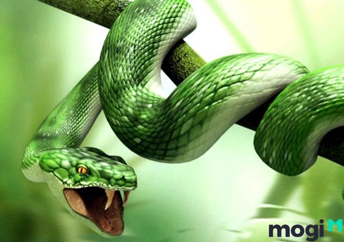 Người tuổi Tỵ nên chọn nhà hướng nào để thu hút tài lộc?