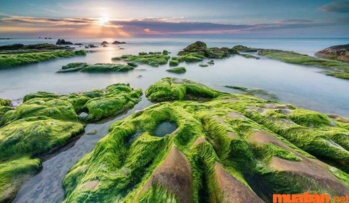 Địa điểm check in Đà Nẵng - Rạn Nam Ô