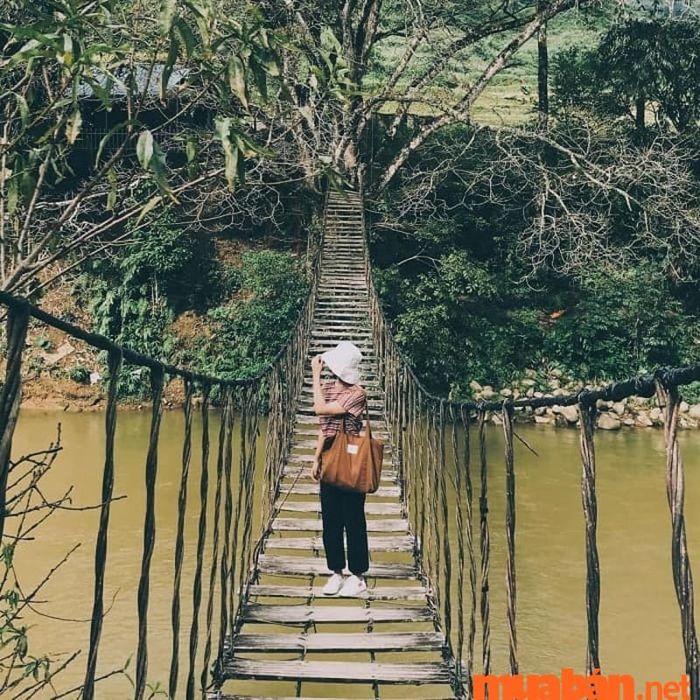 Khung cảnh của cầu mây