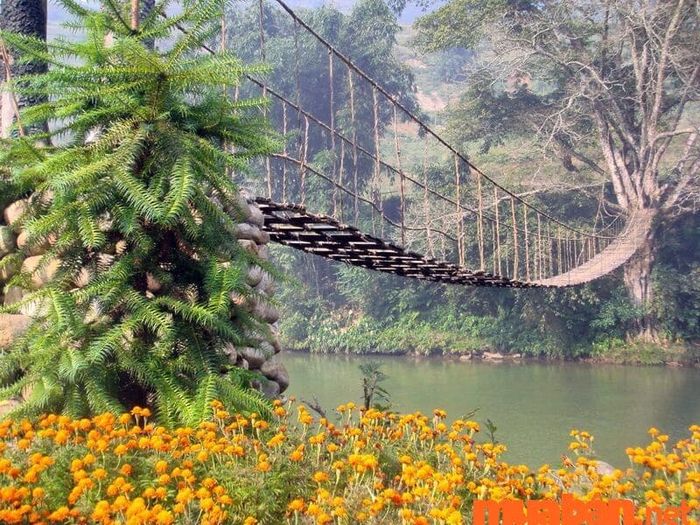Cầu mây Tả Van