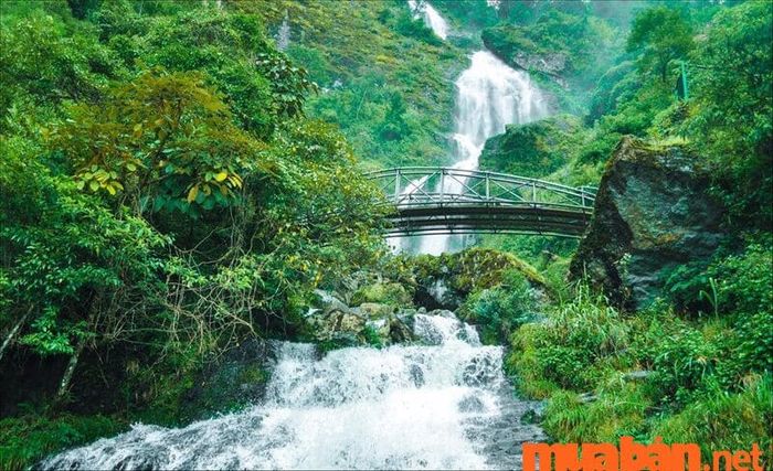 Suối Mường Hoa như bước ra từ truyện cổ tích