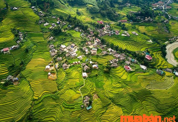 Nhà dân