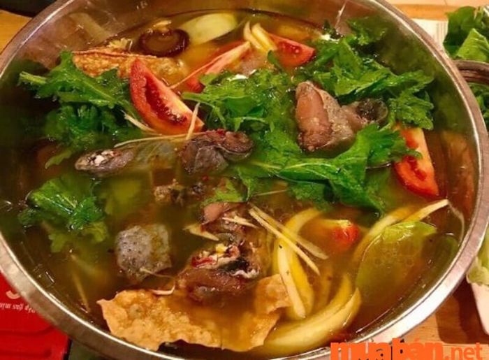 Thắng cố