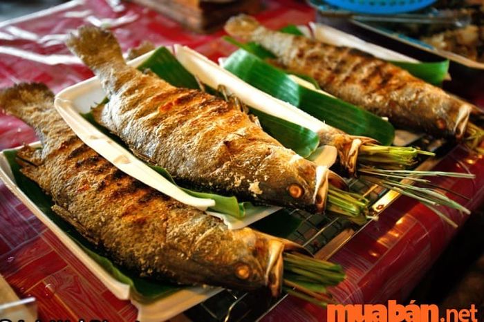 Cá suối nướng