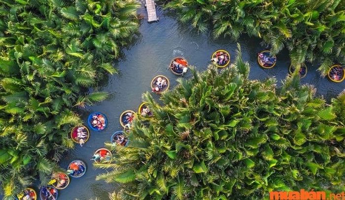Địa điểm check in Đà Nẵng - Rừng dừa Bảy Mẫu