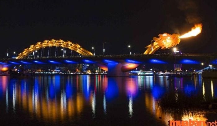 Địa điểm check-in tại Đà Nẵng - Cầu Rồng