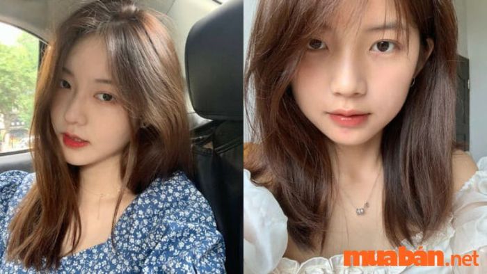 Màu nâu đen hạt dẻ có sắc độ tương tự như màu hạt dẻ.