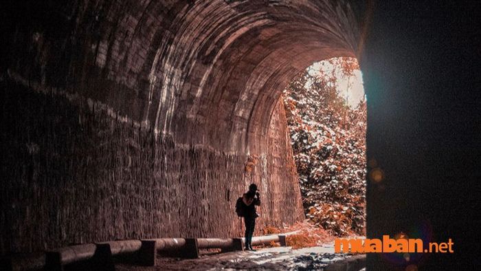 Góc chụp nghệ thuật từ bên trong hầm Hỏa Xa Đà Lạt