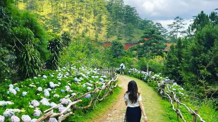 Hình ảnh nổi bật tại làng Cù Lần Đà Lạt