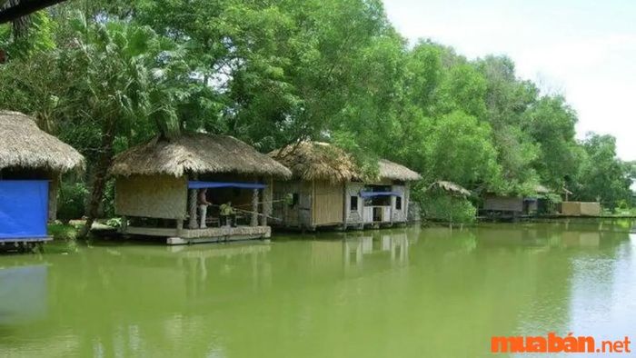 Đông Anh có gì thú vị để khám phá?
