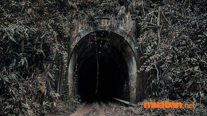 Hầm Hỏa Xa Đà Lạt - Điểm check in cổ kính, huyền bí siêu hot