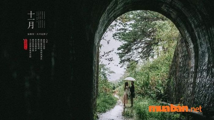 Bức ảnh lung linh của cặp đôi tại đường hầm Hỏa Xa Đà Lạt