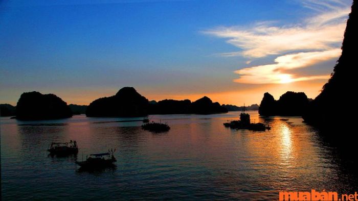 Bình minh trên Vịnh Hạ Long