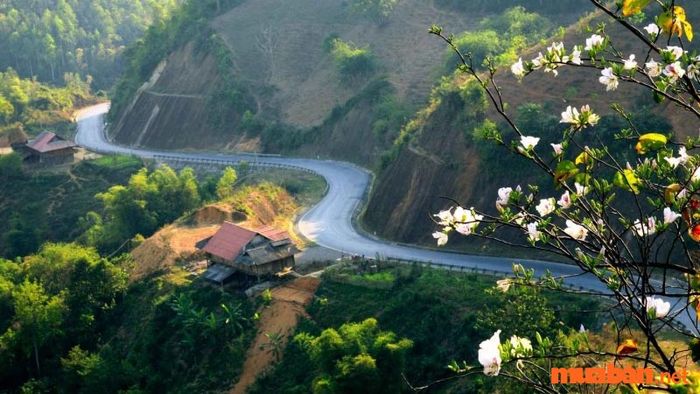Hơn 30 địa điểm du lịch nổi bật ở Điện Biên