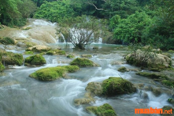 Kinh nghiệm du lịch Lạng Sơn - Khám phá suối Long Đầu