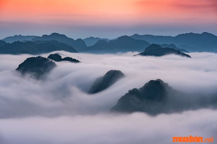 Kinh nghiệm du lịch Lạng Sơn - Săn mây tại đỉnh núi Nà Lay