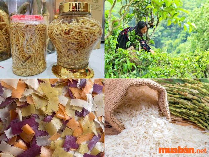 Điện Biên sở hữu nhiều đặc sản tuyệt vời để bạn chọn làm quà tặng.