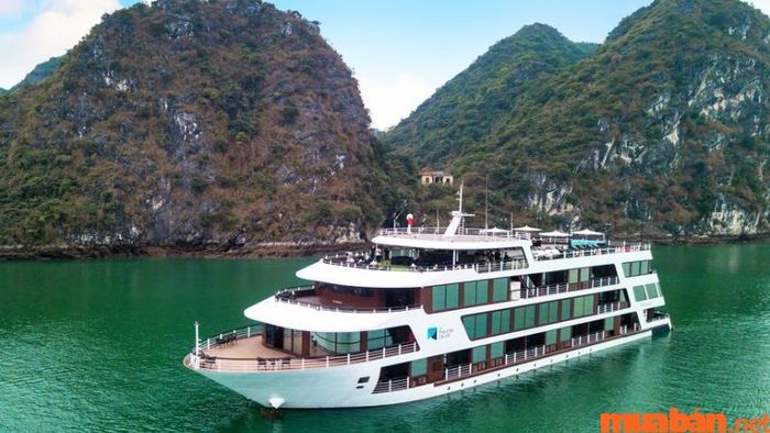 Trải nghiệm du thuyền trên Vịnh Hạ Long